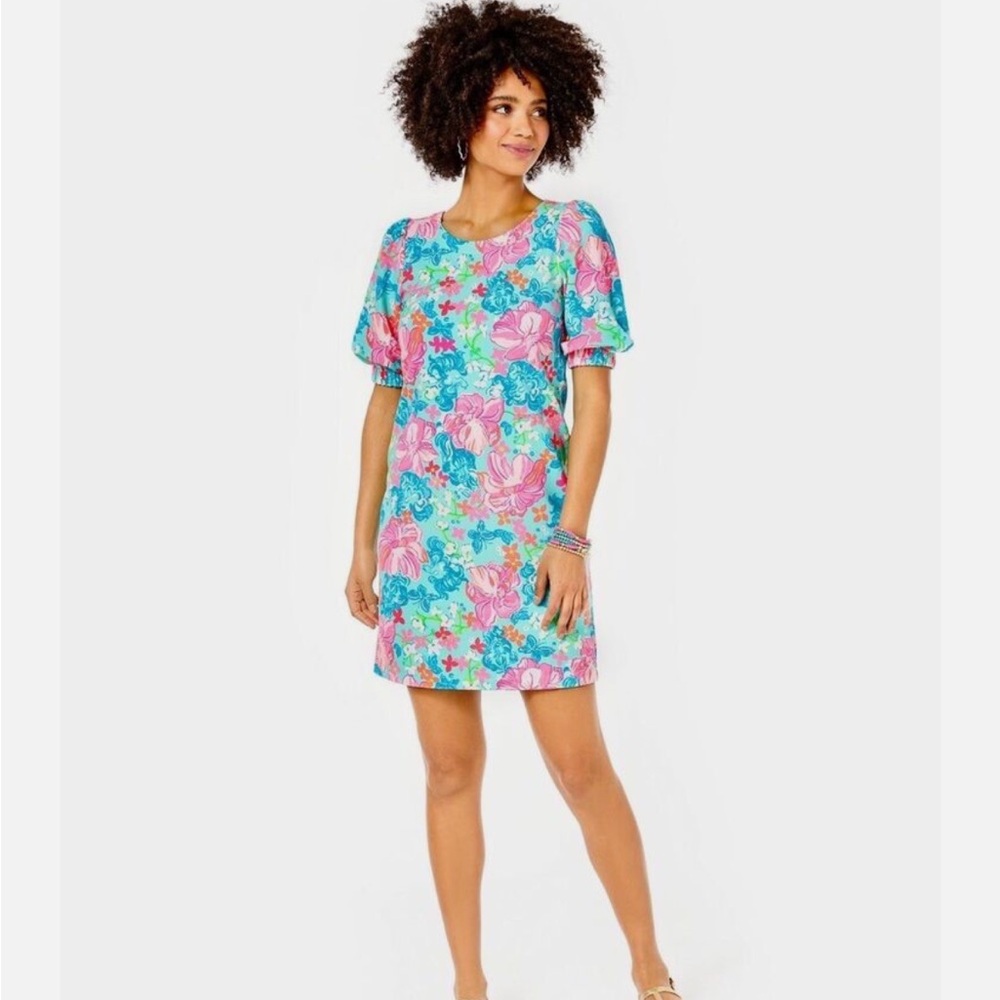 Lilly Pulitzer Cayce Short Puff Sleeve Dress Size S Surf Blue Luscious Lions